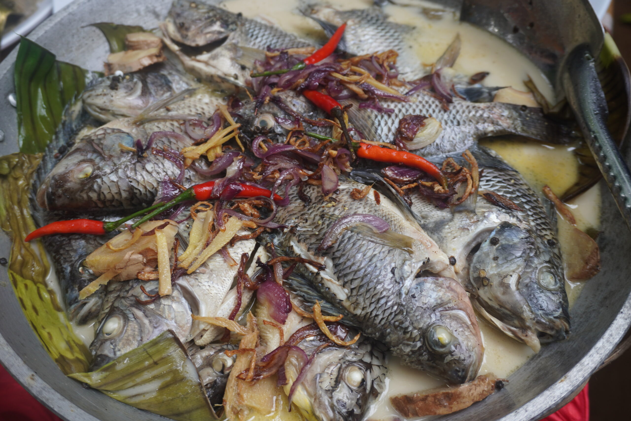 Apayao Cuisine 11